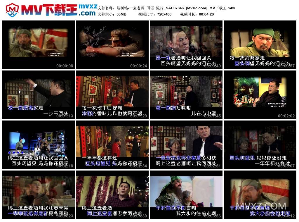陆树铭-一壶老酒_国语_流行_NAC07346